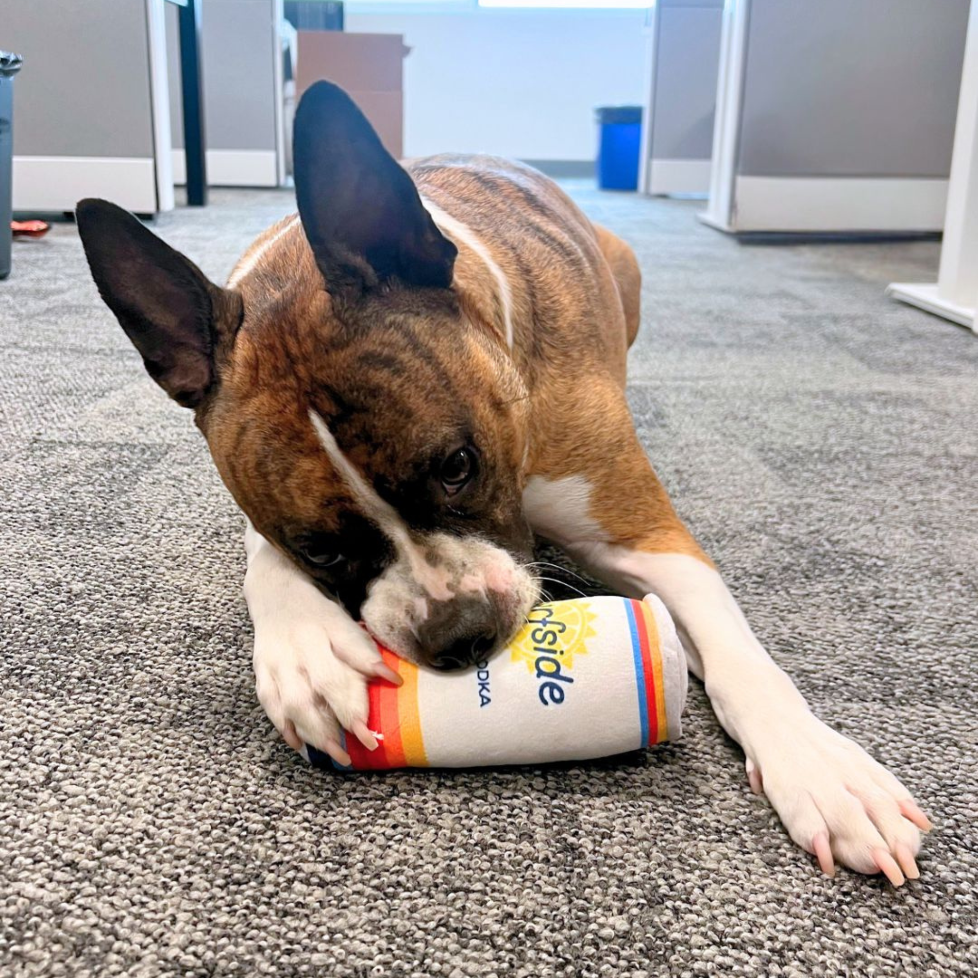 Alternative view of Surfside Plush Chew Toy